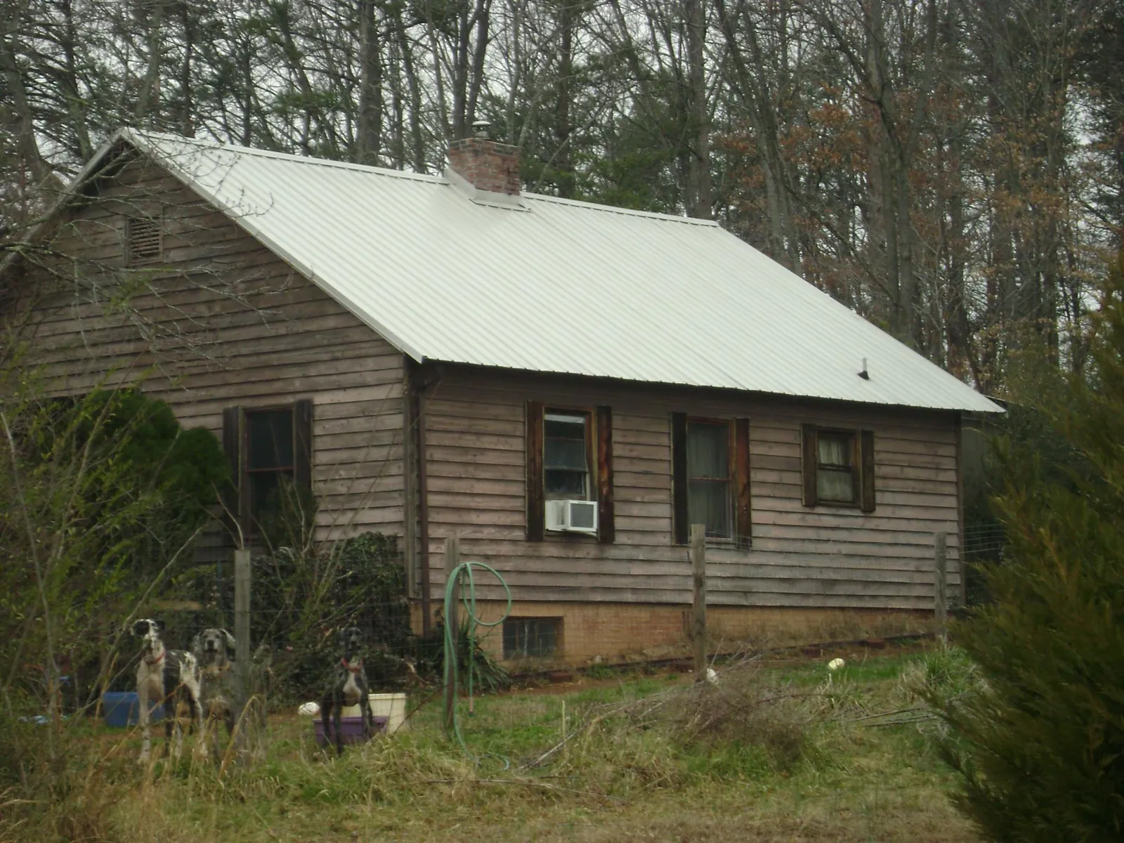 White metal roof on an old wood sided farmhouse, from a Asphalt Shingle Roof Repair job in Pandora